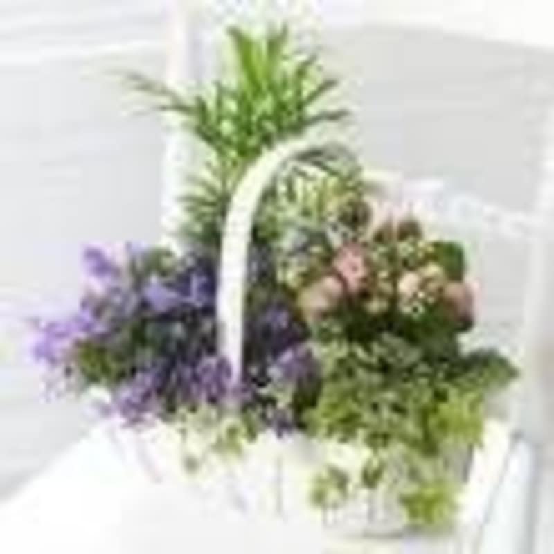 Flower Delivery Parkstone Poole Best Flower Site