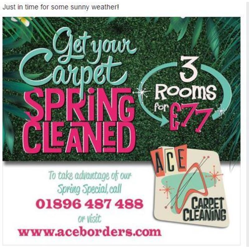 Ace Carpet Cleaner 6 In One Formula Carpet Vidalondon