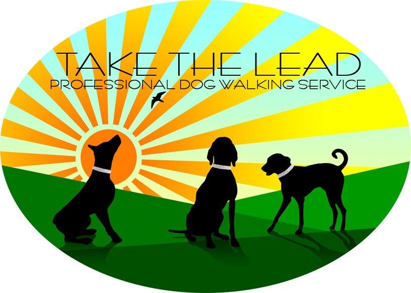 Take The Lead - Professional Dog Walking & Pet Services In Blackpool | Blackpool FY1 5FG | +44 7766 220024