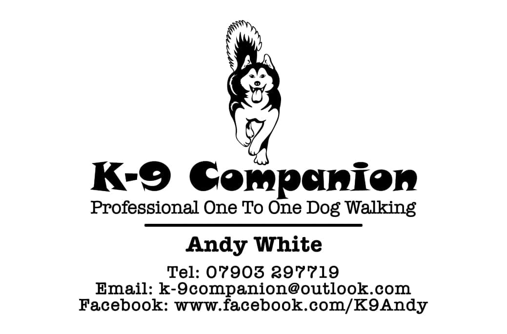 K-9 Companion - Professional One to One Dog Walking | 105 Picktree Lodge, Chester Le Street DH3 4DQ | +44 7903 297719