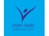 Bristol Hawks Gymnastics