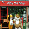 Tyler James Pet Supplies Ltd Ilkley Pet Supplies Yell