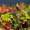 Image of Brunel Funeral Directors
