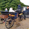 Snailriver Horse Drawn Carriage Co