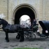 Snailriver Horse Drawn Carriage Co