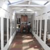 Burnedge boarding kennels & hot sale cattery